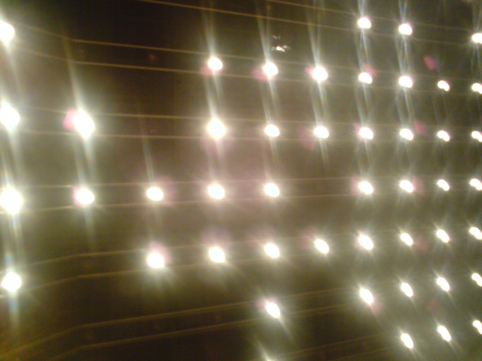 DSC00044.JPG